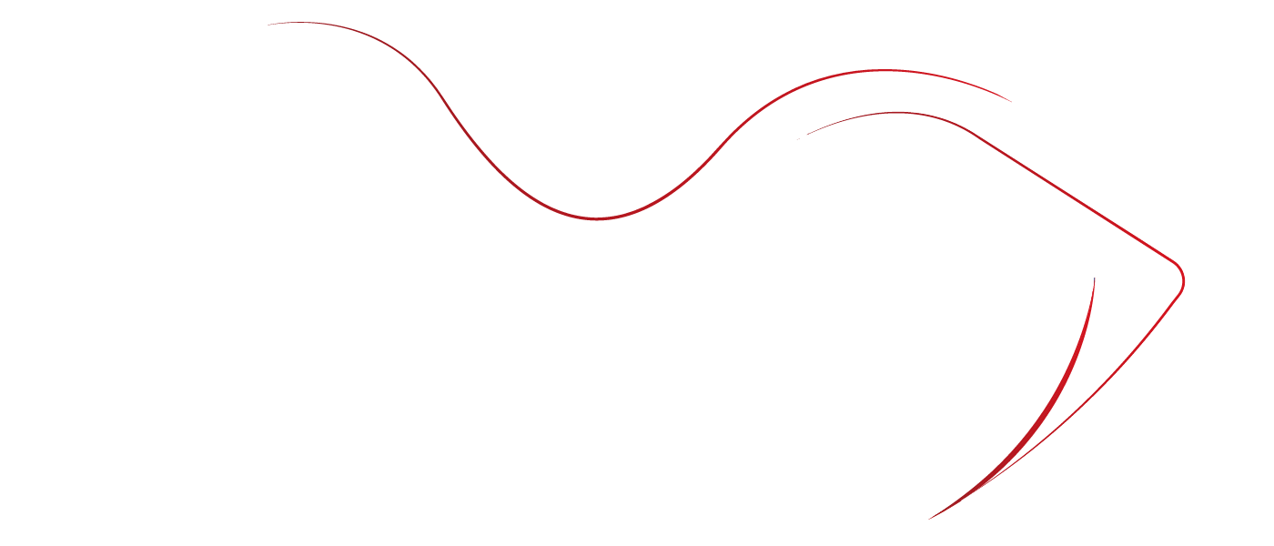 Red Cine Duo